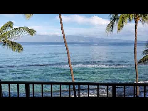 Video der Unterkunft