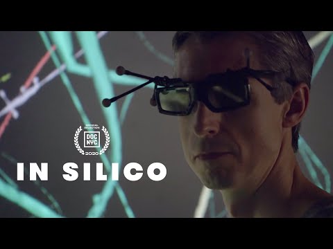 In Silico'