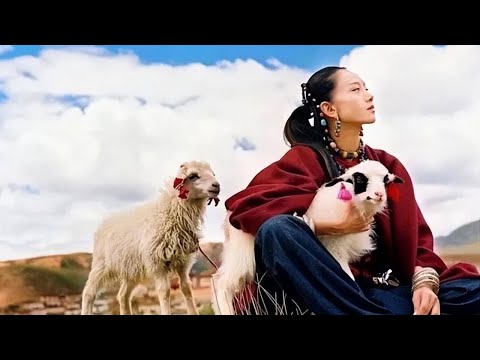 人物 舞蹈家 杨丽萍