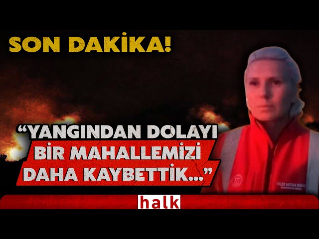 SON DAKİKA! Bilecik'te orman yangını büyüyor... Belediye Başkanı Melek Subaşı son durumu anlattı