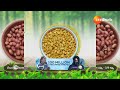Aarogyame Mahayogam | Ep - 1213 | Webisode | May, 31 2024 | Manthena Satyanarayana Raju | Zee Telugu  - 08:30 min - News - Video