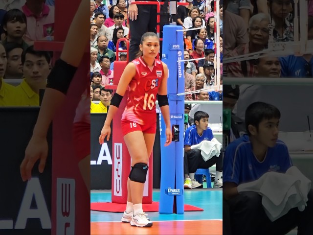 สมฉายา ราชินี บีหลัง ควีนบีม🇹🇭🏐 #วอลเลย์บอลหญิง #volleyball #วอลเลย์บอล #วอลเลย์บอลหญิงทีมชาติไทย