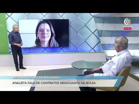 Laura Rezende fala sobre o mercado futuro do boi gordo