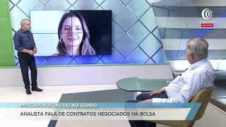 Laura Rezende fala sobre o mercado futuro do boi gordo