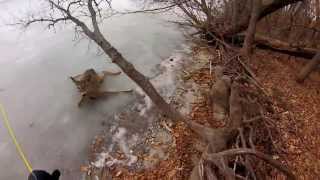 救出被困冰湖上的的鹿