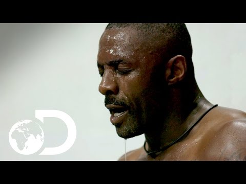 Idris Elba: Fighter'