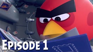 Angry Birds Zero Gravity 1 - Zberate znmok