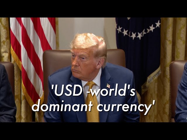 Trump says he will defend US dollar as world's dominant currency amid BRICS currency plan