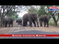 మన్యం జిల్లా : ప్రధాన రహదారి పై ఏనుగుల హల్ చల్ | BT  - 01:04 min - News - Video