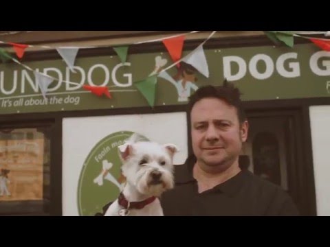 Property video