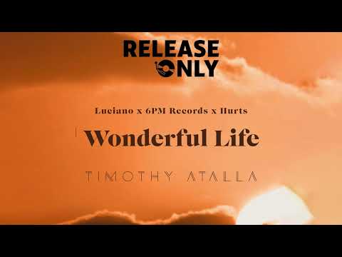 Luciano - Wonderful Life (Timothy Atalla Edit)