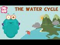 The Water Cycle  The Dr. Binocs Show  Learn Videos For Kids