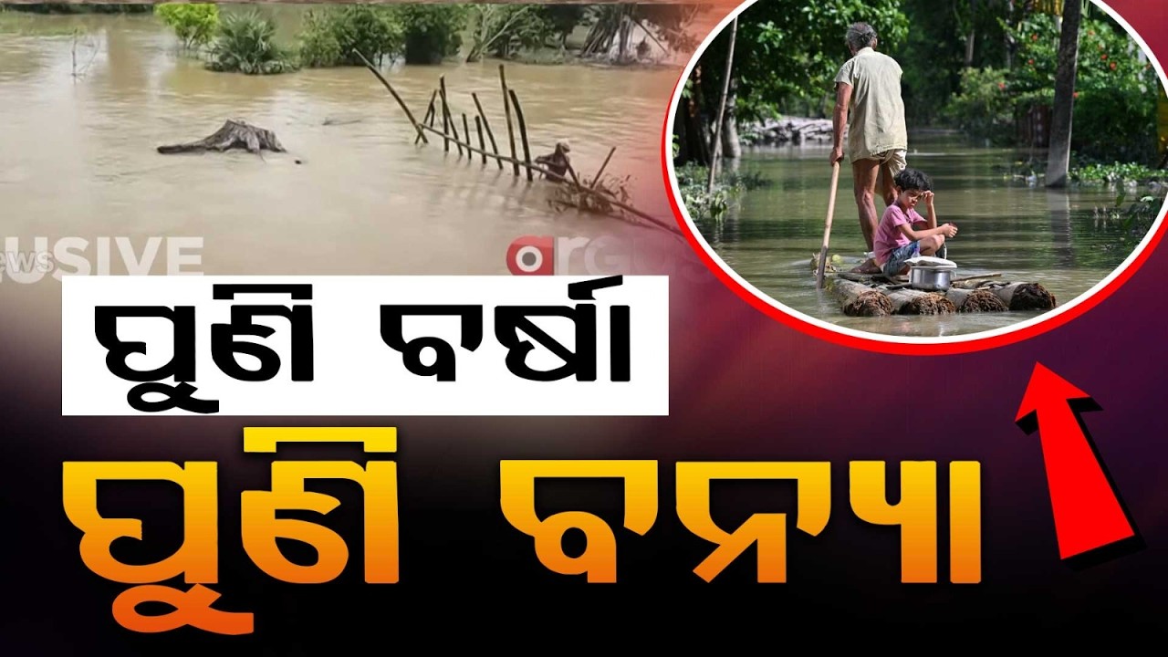 Odisha Flood Alert: Jalaka River Swells, Road Submerged in Athagarh & Major Breach in Bhadrak