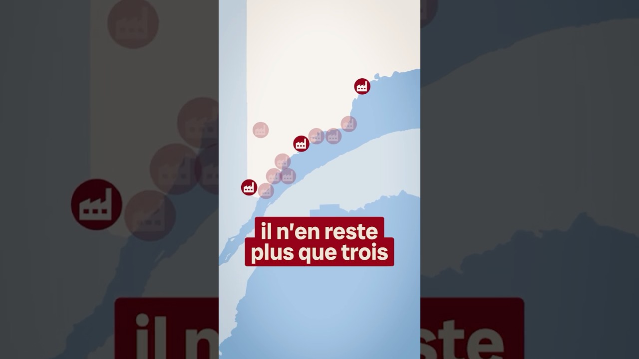 L’entente Côte-Nord sauvera-t-elle les scieries de la région ?