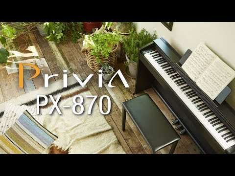 Casio PX 870 Review Best Piano Keyboards