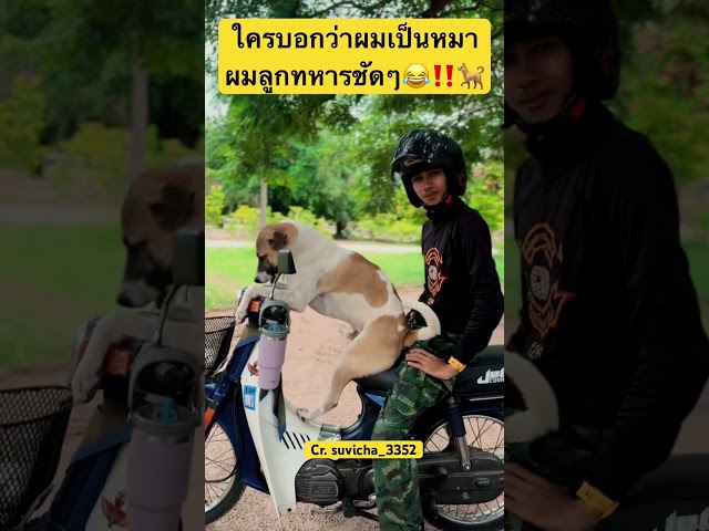 ลูกทหารชัดๆ😂‼️🐕 #ทหารไทย #สุนัขแสนรู้ #สุนัขน่ารัก #pets