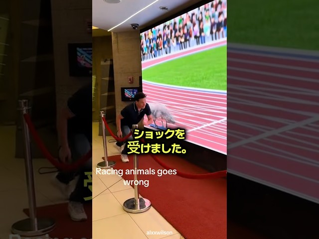 恐竜とかけっこ勝負して起きたこと