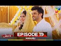 Manjhli -  Episode 19 - 29th June 2025 [ Fahad Sheikh, Khadija Saleem & Shaheera Jalil ] - HUM TV