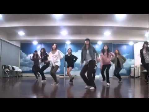 SNSD/Girls' Generation - Mr. Taxi mirrored Dance Practice