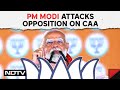 CAA Latest News | On CAA, PM Modis Attack On Opposition In UPs Azamgarh