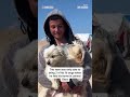 A displaced teenager in Gaza says spending time with his three dogs brings him joy  - 00:22 min - News - Video