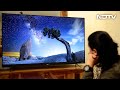 Acer 65UHD S-Series TV: Best Android-Powered Smart TV on a Budget? | The Gadgets 360 Show