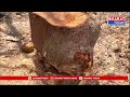 లేపాక్షి : చెట్లని నరికి పర్యావరణాన్ని నాశనం చేస్తున్నారు - ఇకనైనా కాపాడండి | Bharat Today  - 06:14 min - News - Video
