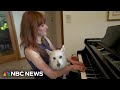 Keys to happiness: Dogs love for owners piano playing goes viral