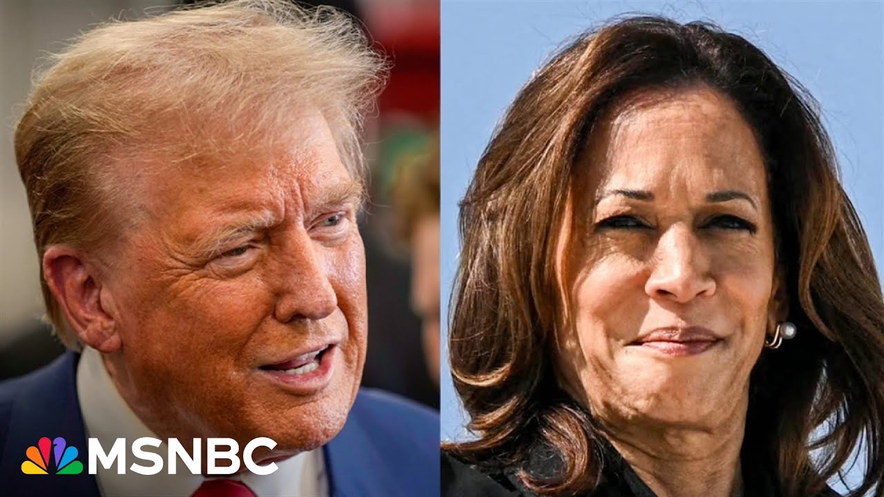 Harris narrows gap with Trump on key issues in PA, MI, WI: Poll