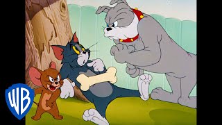 Tom a Jerry - Zrada