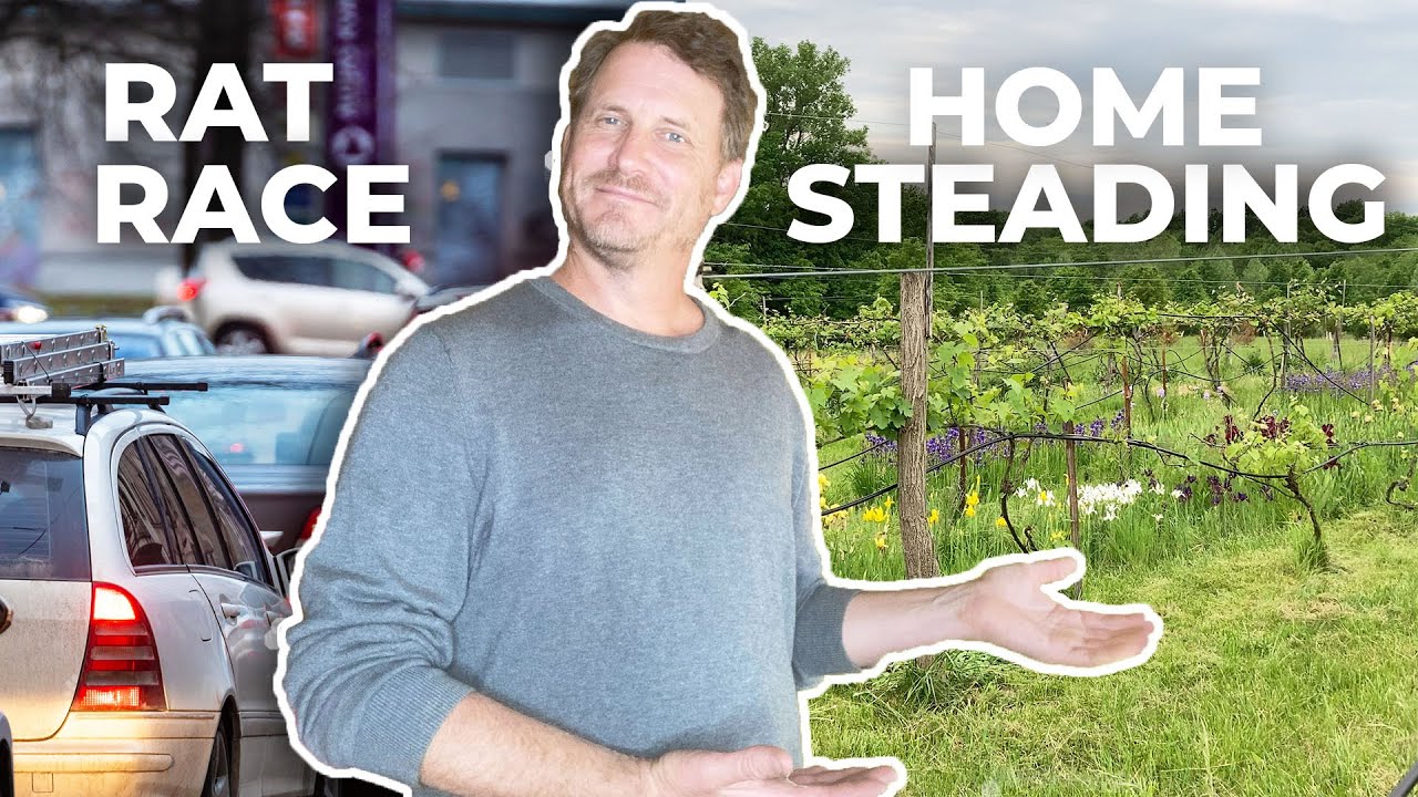 I Hated the 9-5 RAT RACE | Now I Homestead