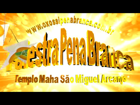 Galeria de Vídeos