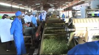 This is a video preview of the EU-Africa Summit in Brussels on April 2-3, 2014. The theme of the meeting is Investing in People, Prosperity and Peace.