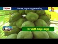 బొప్పాయి నారు పెంపకంలో జాగ్రత్తలు | How to Grow Papaya from Seed | Matti Manishi | 10TV - 04:45 min - News - Video