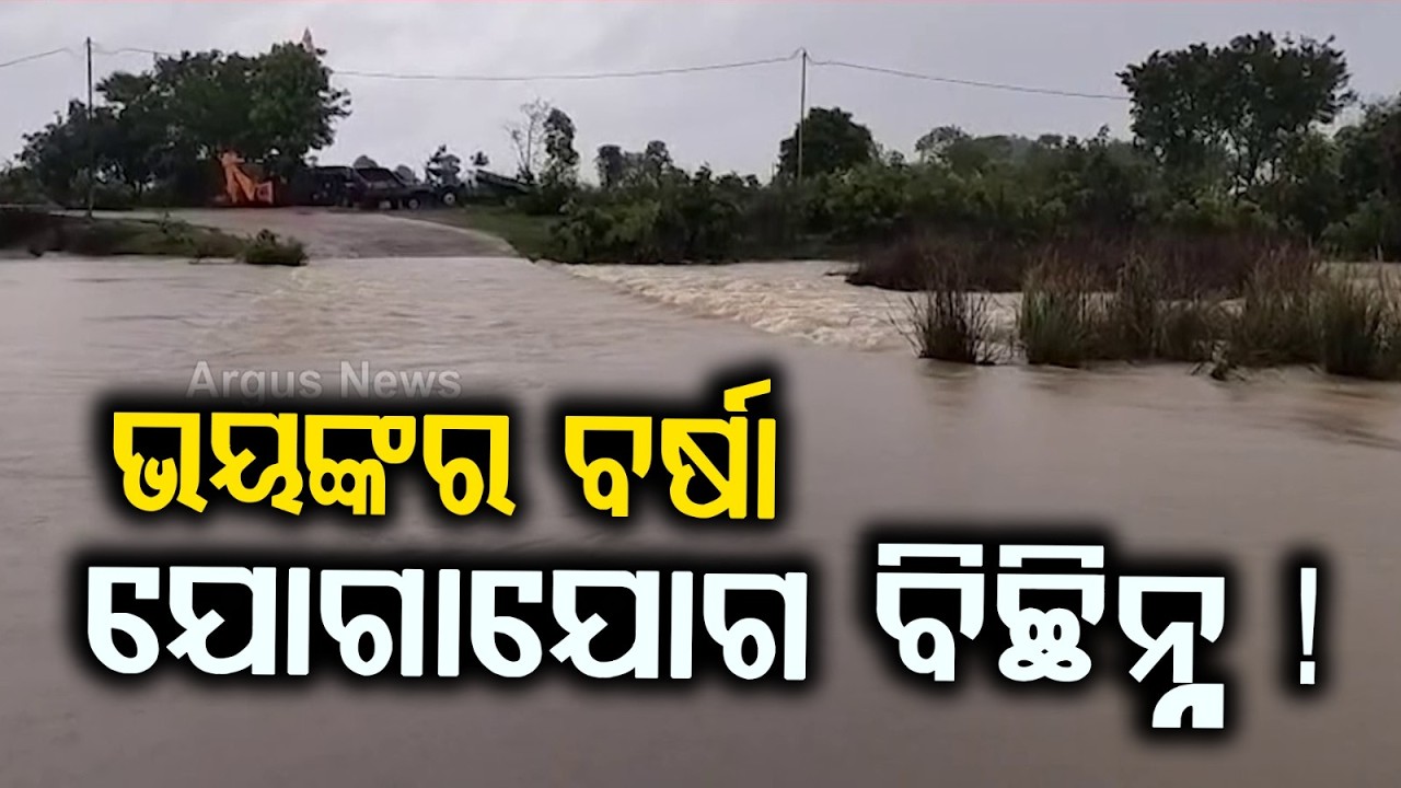 Heavy Rain & Flood Situation in Subarnapur | Communication Cut Off | Schools Closed | Argus News