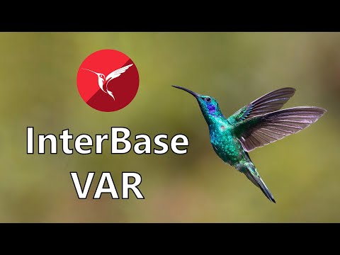 Getting started as an InterBase VAR