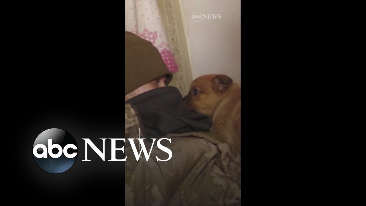 Ukrainian soldiers rescue 2 puppies from abandoned village