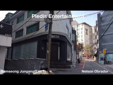 Pledis Entertainment (address)