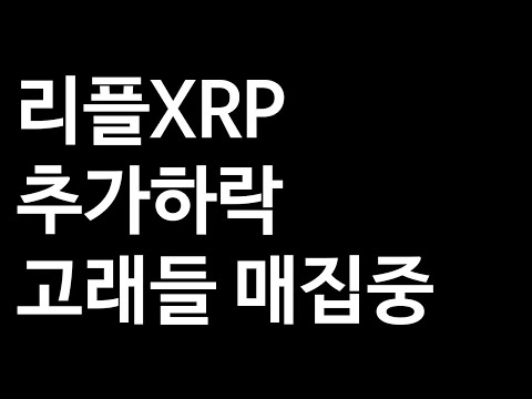 리플 XRP 에이다 비트코인 이더리움 : 리플XRP 추가하락 고래들 매집중