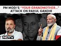 PM Slams Rahul Gandhi On BJP Trying To Abolish Constitution Remark