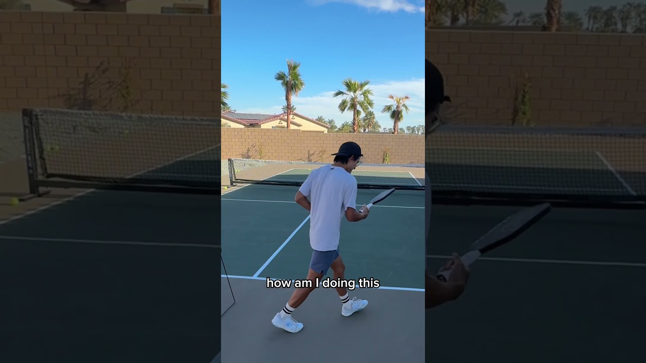 Metallic Pickleball Paddle