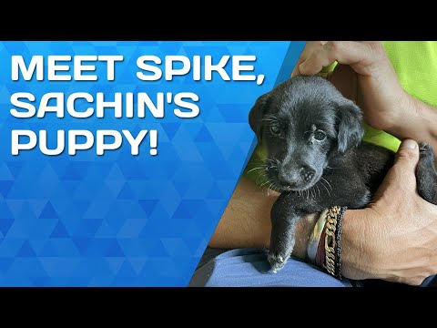 Sachin Tendulkar introduces his puppy 'Spike'