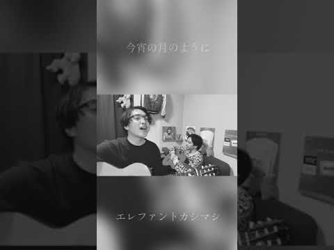 今宵の月のように - エレファントカシマシ弾き語りカバー