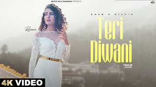 Teri Diwani ~ Gold E Gill Ft Raveena Bishnoi (EP : Jaani) Video HD