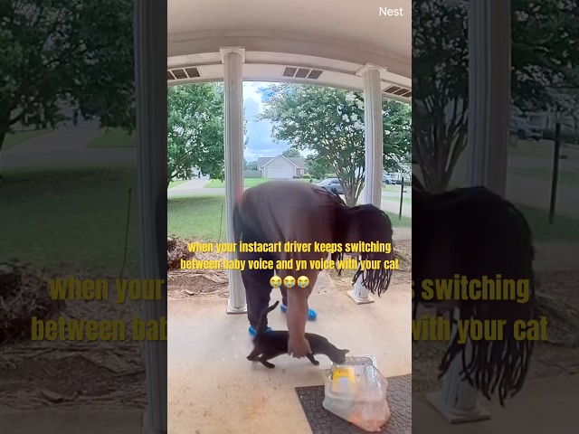 HALLO 😂🥹 #explore #comedy #funnyvideosdaily #cats #hilarious #explore #catsoftiktok #instacart #fy