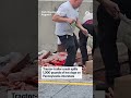 Hot dogs spilled on a Pennsylvania highway  - 00:28 min - News - Video