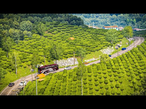 Sundanese x Jateng 3.3 (Indonesian Combo Map) ETS2 1.50 to 1.55