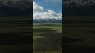 РАМШ, Saya Musa — Алтай