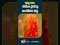 కొత్త రకం కరోనా వైరస్‎పై ఆందోళన వద్దు | #tamilnadugovernment  #coronavirus #shorts #10tvnews  - 00:57 min - News - Video