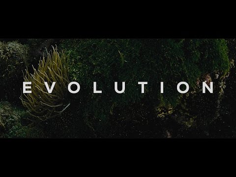 Évolution'
